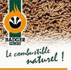 logo-badger